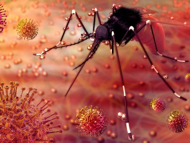 Questo virus è un pericolo, di cosa si tratta