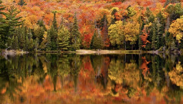 Foliage autunnale 